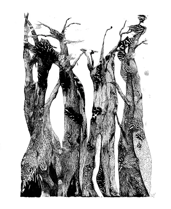 'Arbres', oeuvre de Sophie Savin